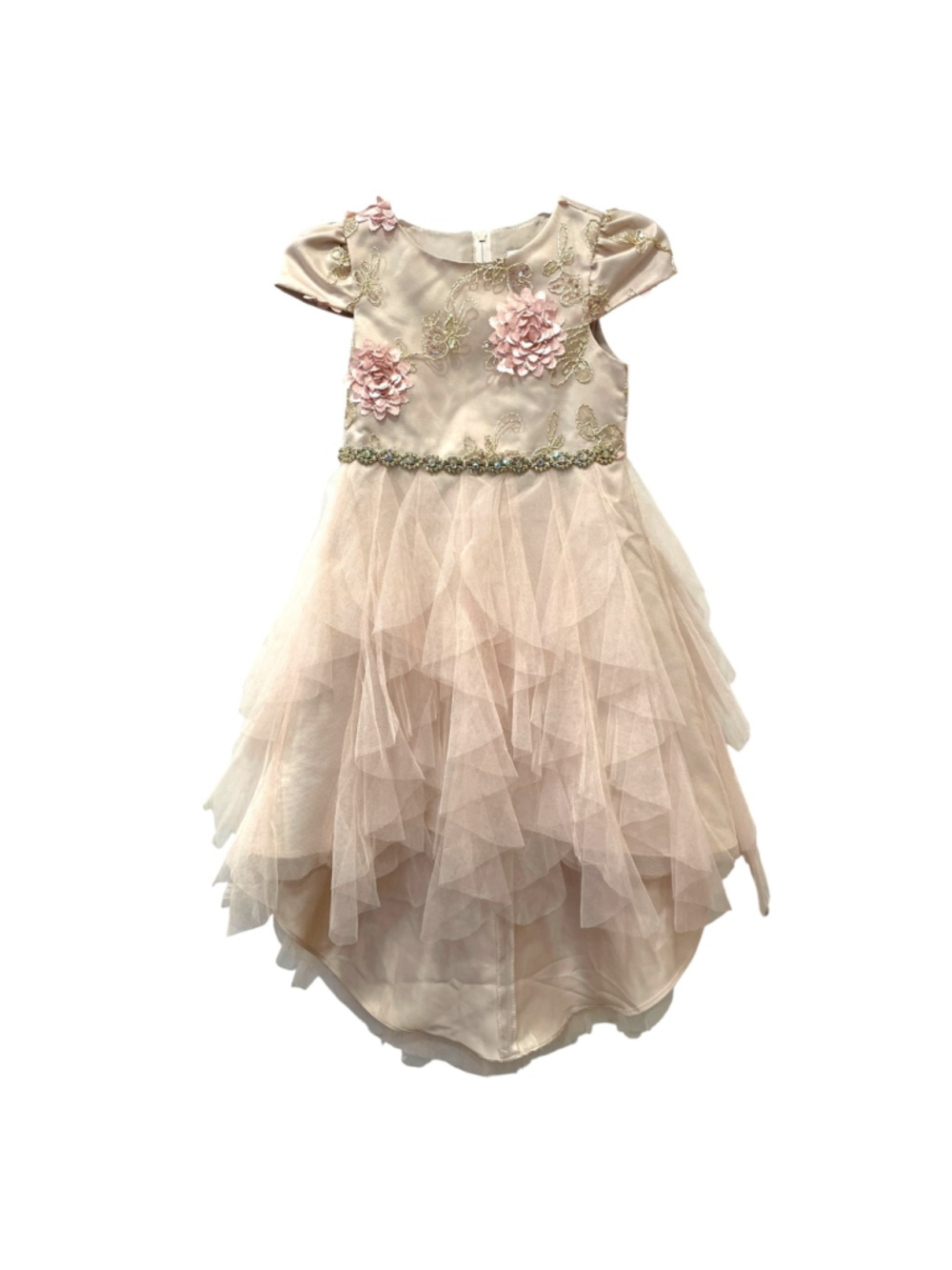 Rare Editions Girls Size 4T Floral Embroidered Soutache High Low Sleeveles Dress